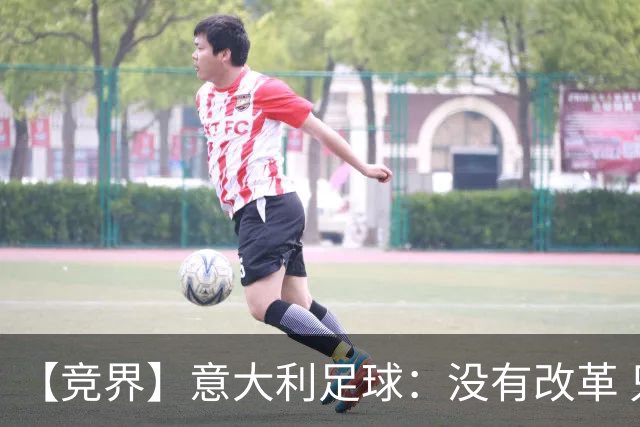 【竞界】意大利足球：没有改革 只有新的补锅匠