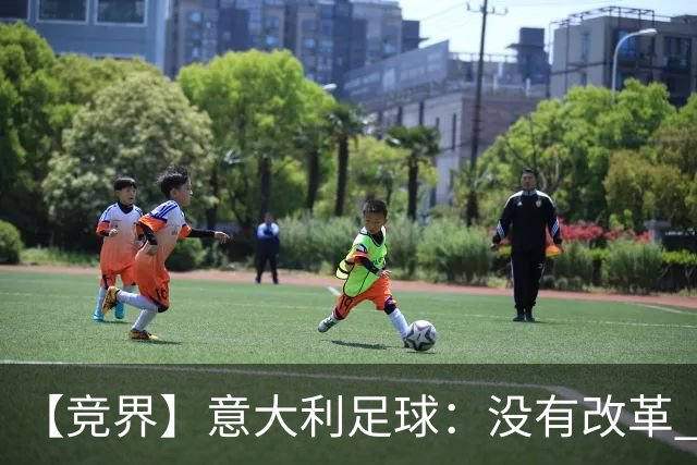 【竞界】意大利足球：没有改革 只有新的补锅匠