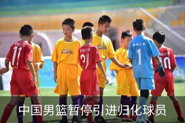 中国男篮暂停引进归化球员